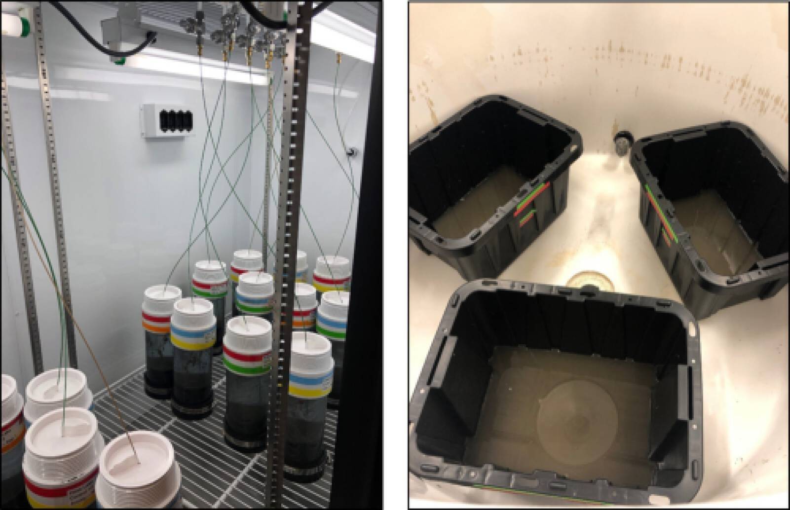 Acrylic tubes and large plastic bins holding sediment and water during the muck digester pellet experiment.
